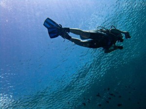 Scuba Underwater Travel Insurance Quote Checklist