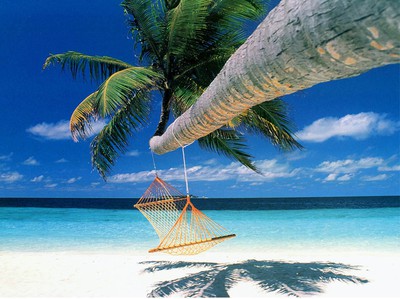 Canadian Travel Insurance Review Hammock