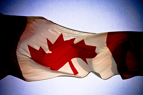 Canadian Flag by Alex Indigo