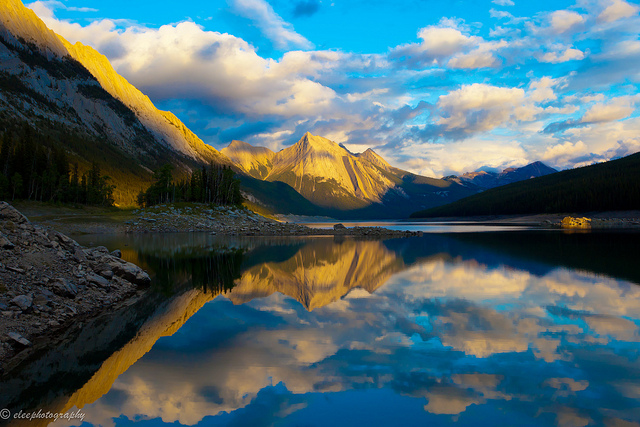 Near Maligne Lake Road in Jasper National Park by Esther Lee on Flickr